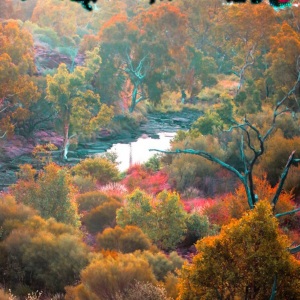 Australian Landscape