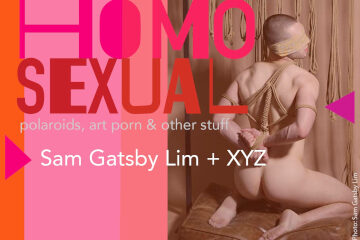 Homo-sexual Gatsby Lim XYZ Tap Gallery